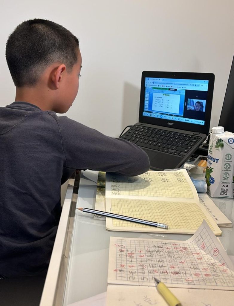 Convenient at home computer tuition