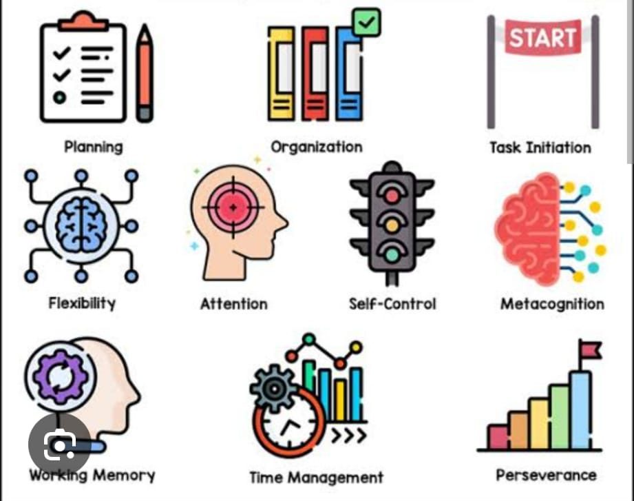 Ten functions of the brain